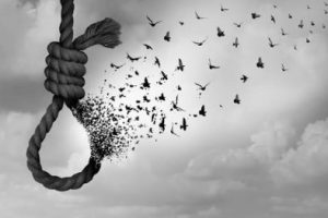 Haryana Suicide