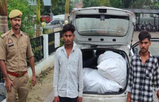 smugglers arrested