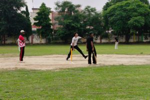 Cricket