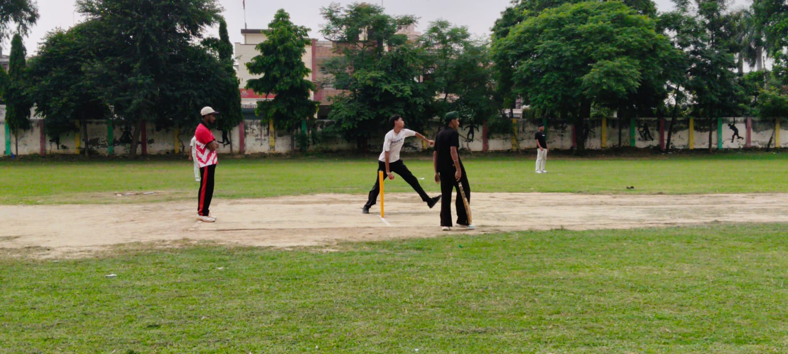 Cricket