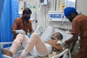 dogs injured