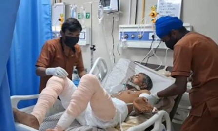 dogs injured