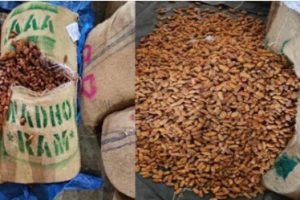 Dried Seized