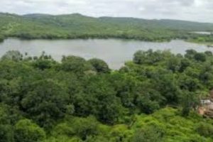 Chandigarh Lakes
