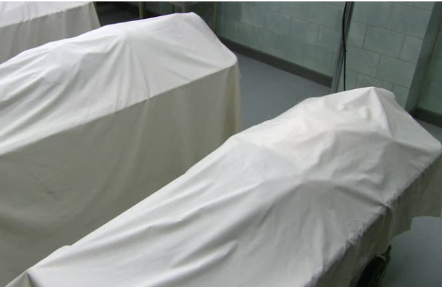 Dead Bodeis