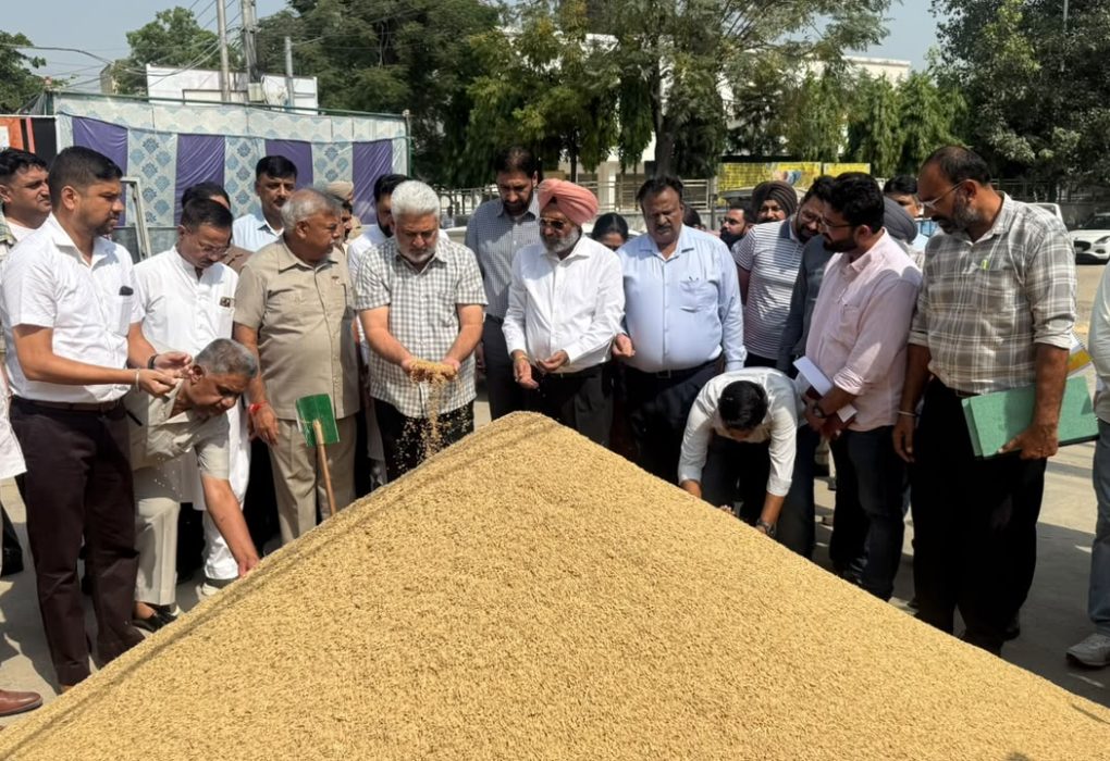 Food Supplies Minister