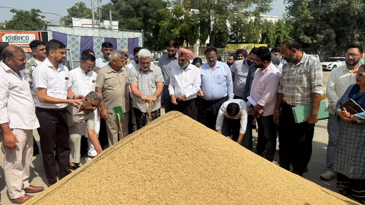 Food Supplies Minister