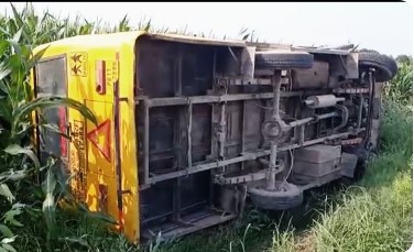 School Bus