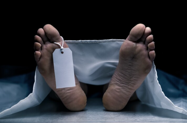 Zirakpur Body